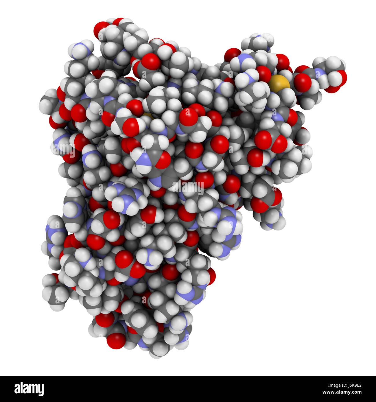 Interleukin-4 (IL-4, menschlich, rekombinante) Protein. Cytokine, die Differenzierung der naiven T-Helferzellen zu Th2-Lymphozyten induziert. 3D-Rendering. Stockfoto