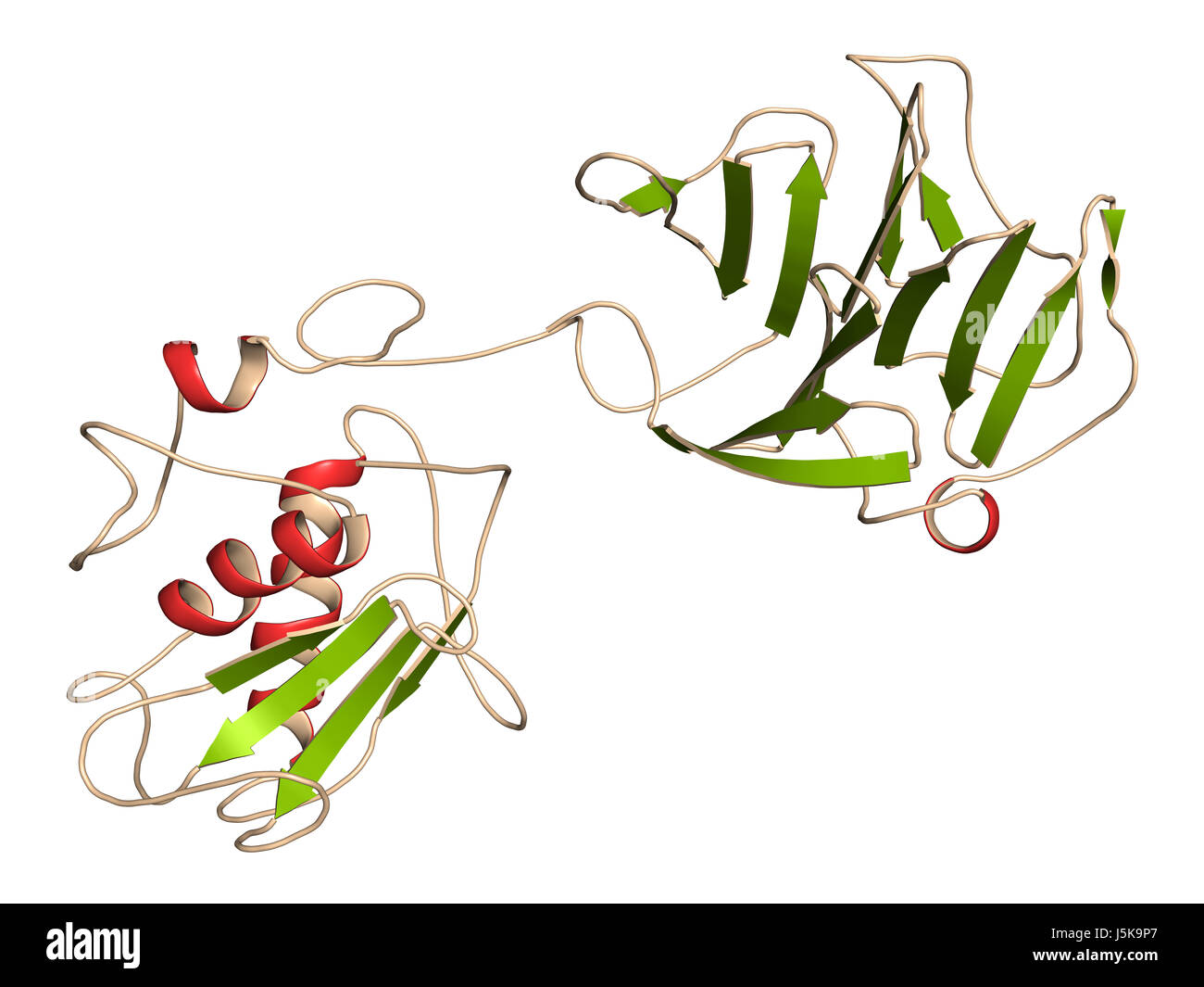 Matrix Metalloproteinase Mmp 12 Makrophagen Elastase 12 Enzym Mmps Sind Proteasen Die In Den Abbau Der Extrazellularen Matrix 3d Rendering Stockfotografie Alamy