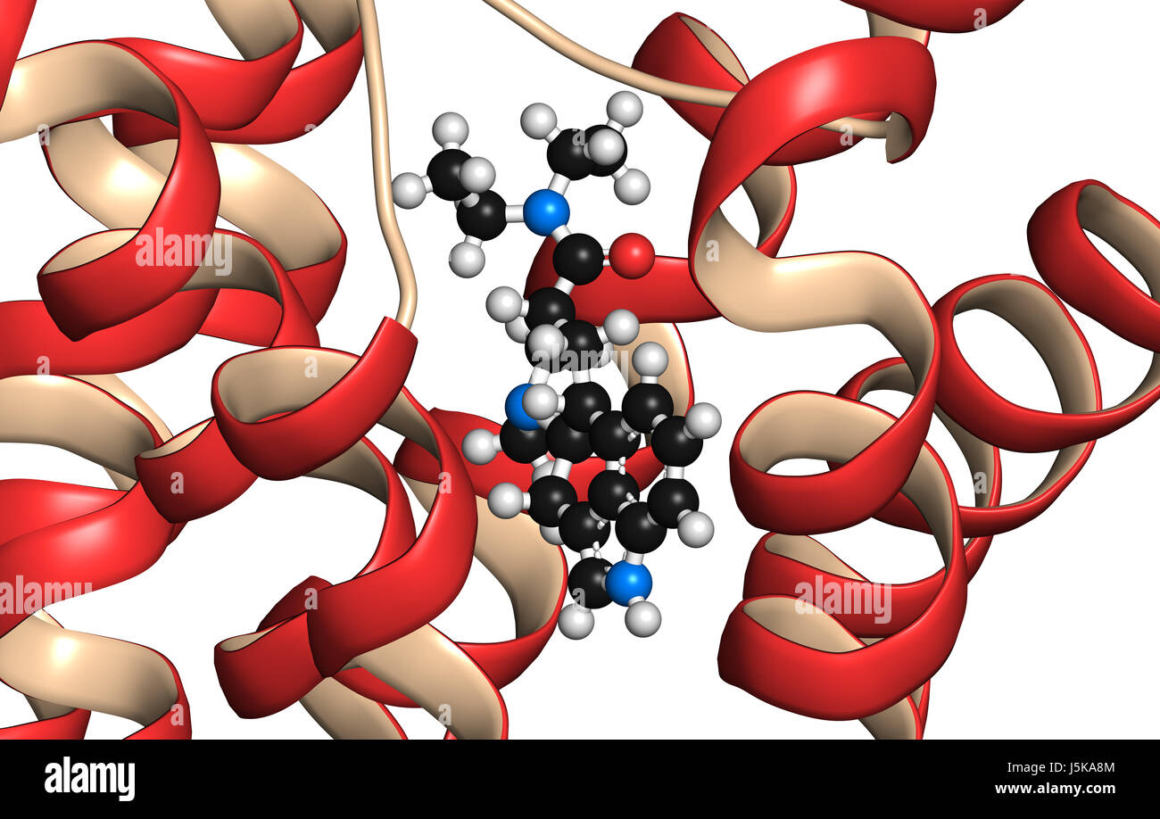 Serotonin-Rezeptor 5-HT2B Protein. Im Komplex mit einem LSD-Molekül gezeigt. Arzneimittel-induzierter Herzklappenerkrankungen beteiligt. 3D-Rendering. Stockfoto