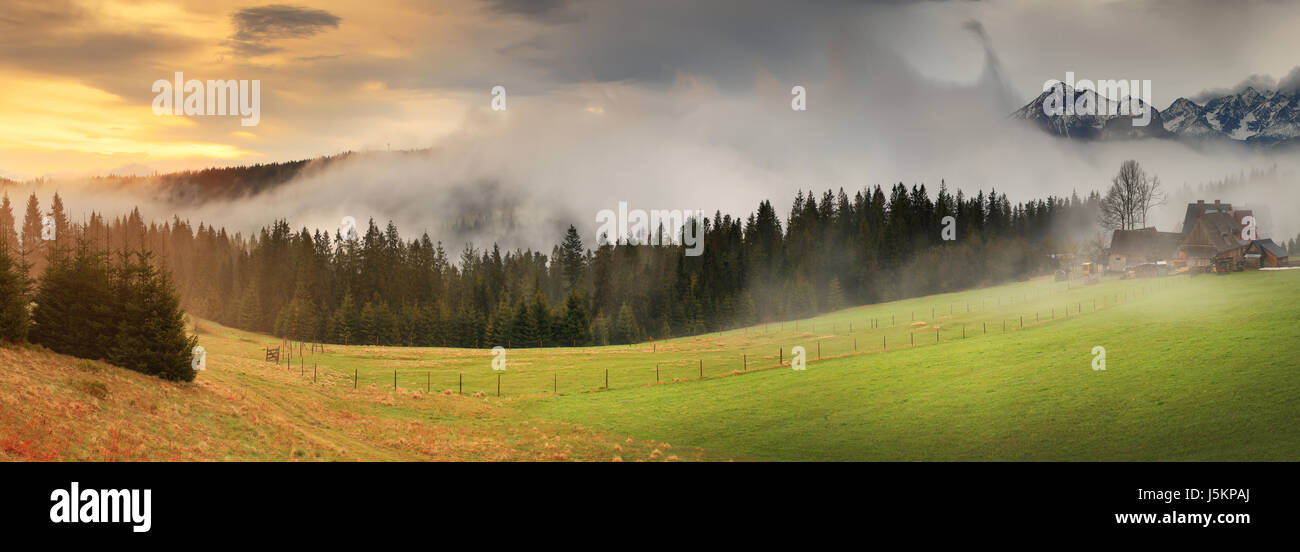 Morgen Berglandschaft. Grünes Tal im nebligen Morgen. Wunderschöne nebligen Sonnenaufgang in Alpen. Stockfoto