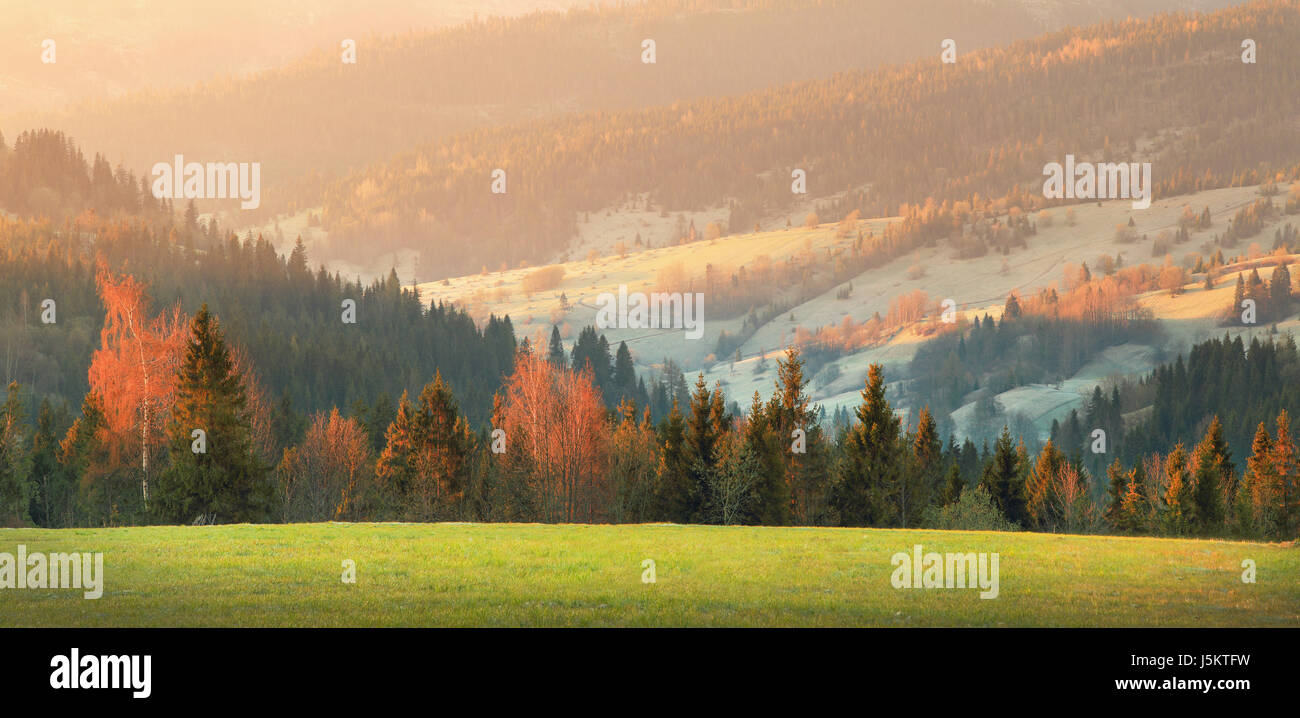 Grünes Tal im Frühling. Weißer Raureif auf Berg Hügeln. Morgennebel in warmes Sonnenlicht über bunte Wiese. Stockfoto