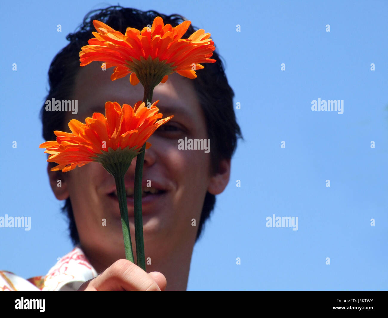Blume Blumen Pflanzen schüchtern Mutter Tag Valentines Tag Gerbera mit Kapuze orange hand Stockfoto