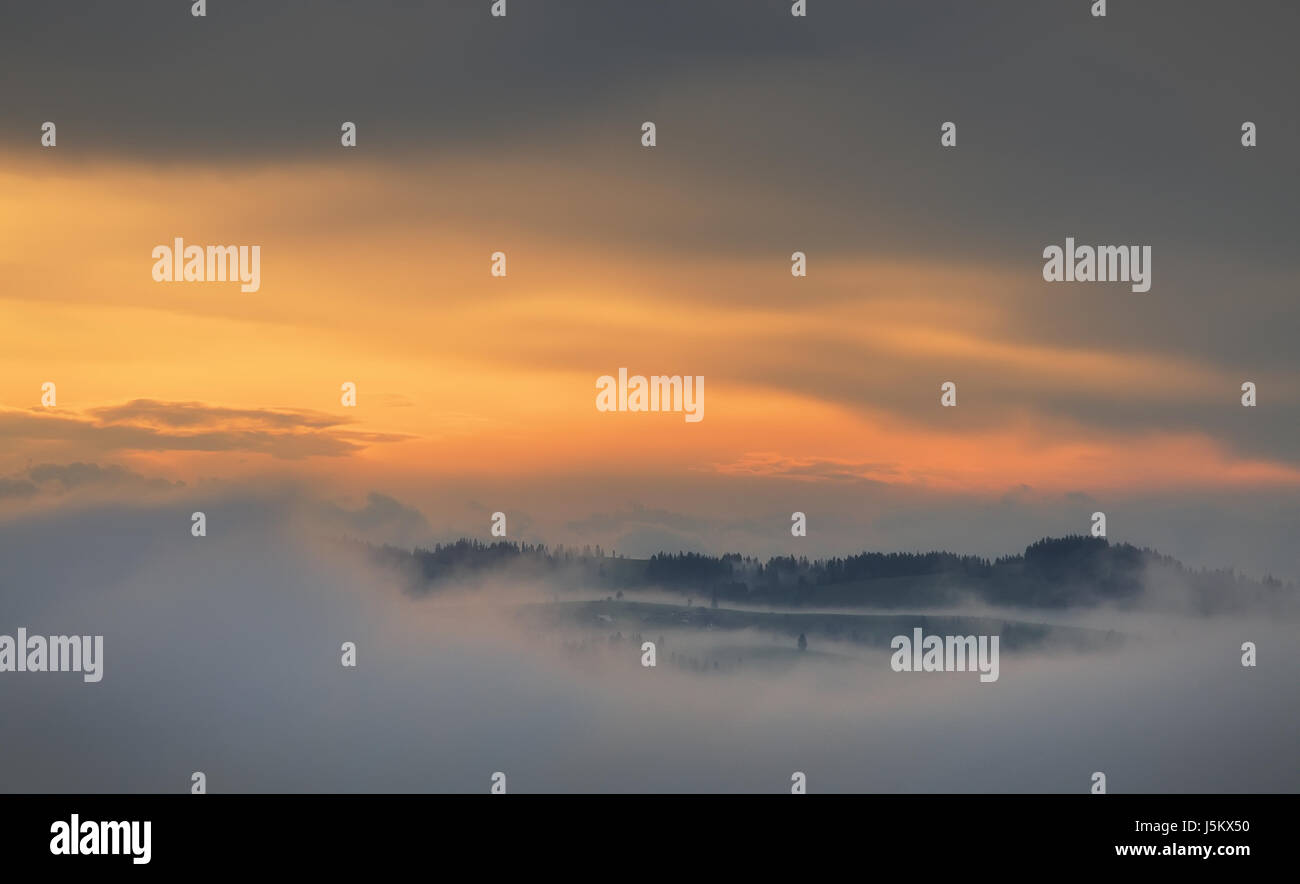 Berg Berge im Nebel. Weißer Nebel unter bunten Morgenhimmel. Neblig Gebirgshintergrund. Stockfoto