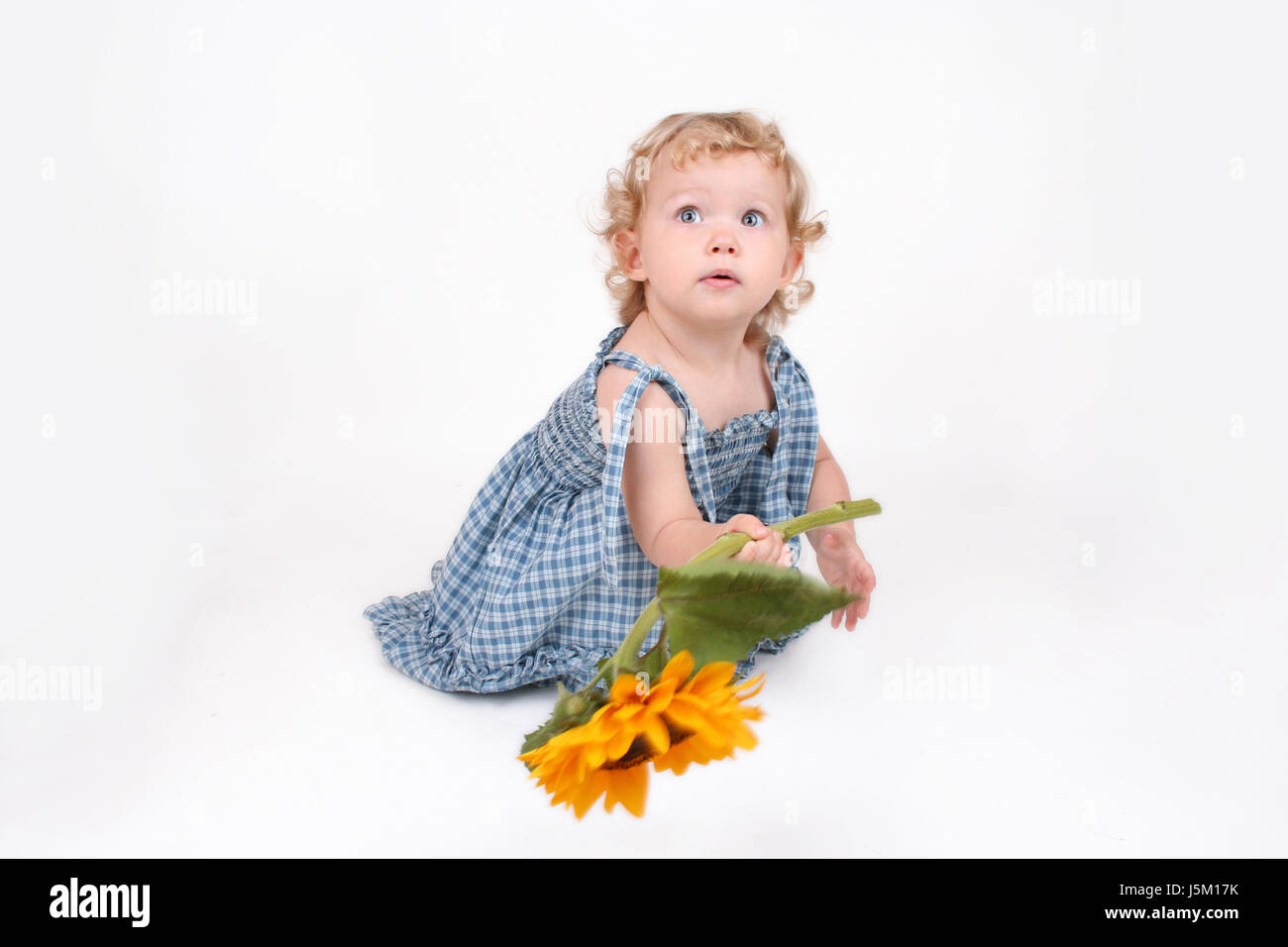 Wählen Sie blaue Lachen Lachen Lachen Twit kichern Lächeln Lächeln lachen lachend Stockfoto