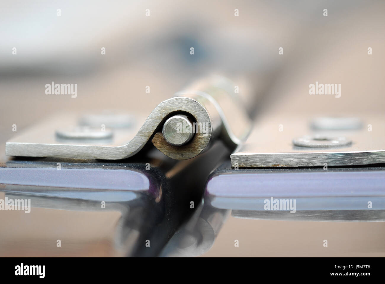 Schraube Schrauben Metall Motorhaube angebracht Scharniergelenk Scharniere Chrome gechraubt Stockfoto