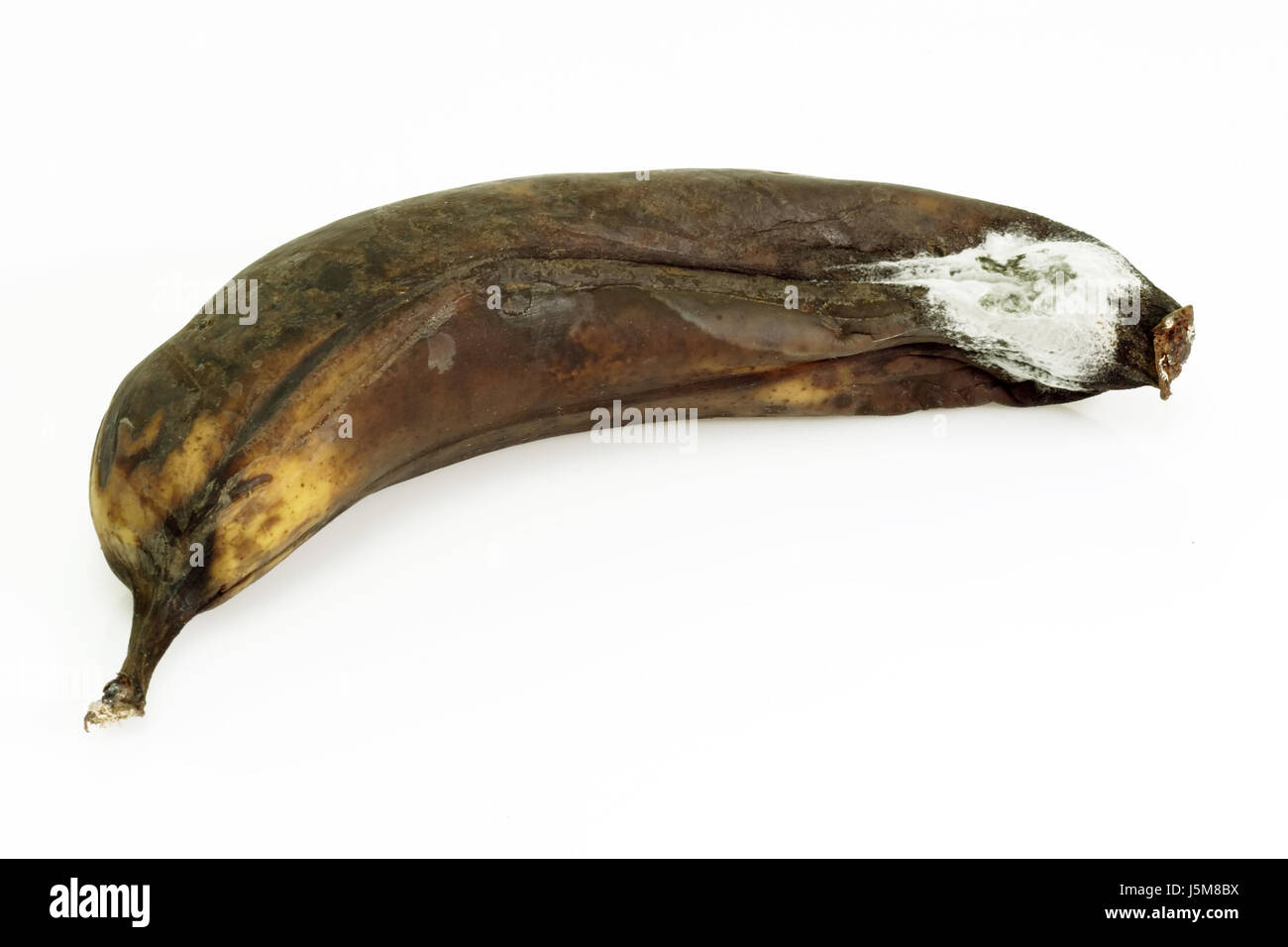 Gesundheit rudigen braun brunlich Brnette Frucht faul vergiften Banane  Pilz Pilz Stockfotografie - Alamy