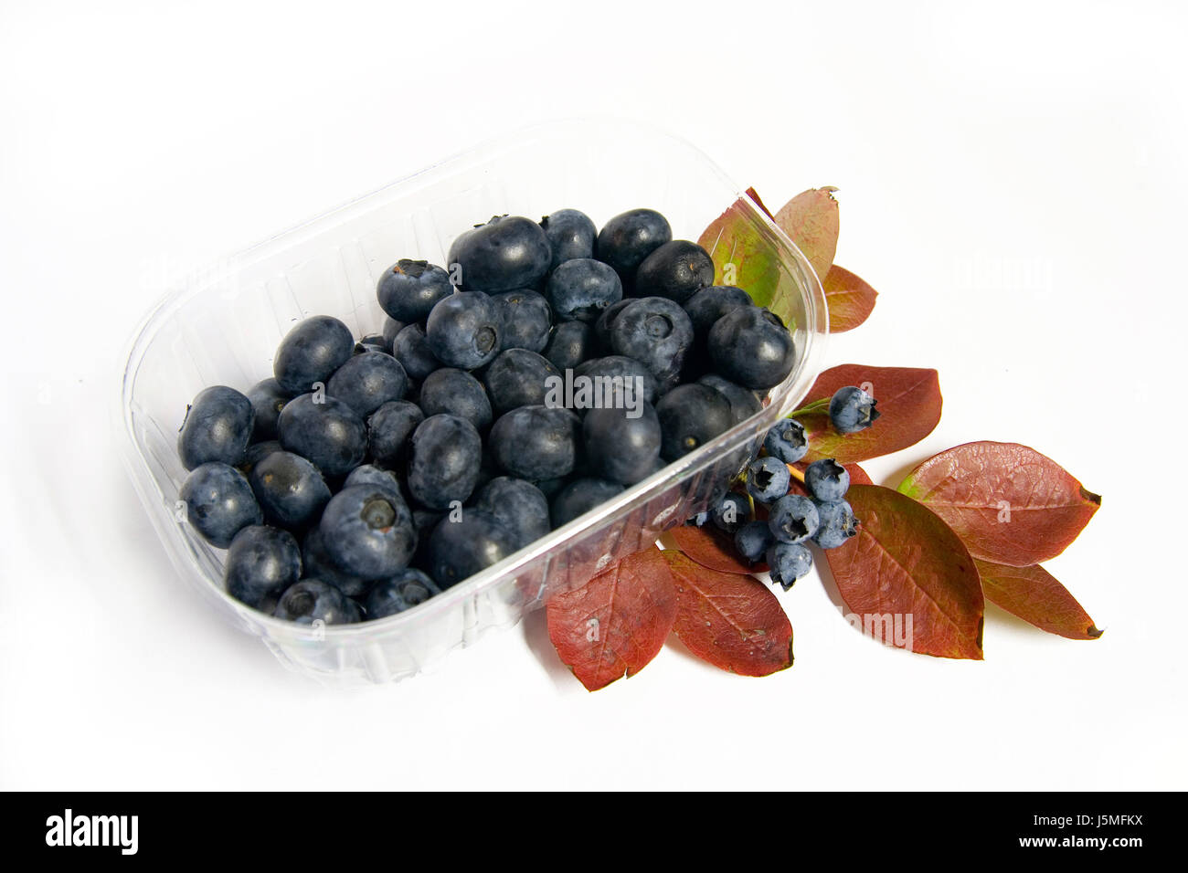 Vitamine Vitamine süß blau zierliche Früchte ernten saftigen Heidelbeeren Heidelbeeren Stockfoto
