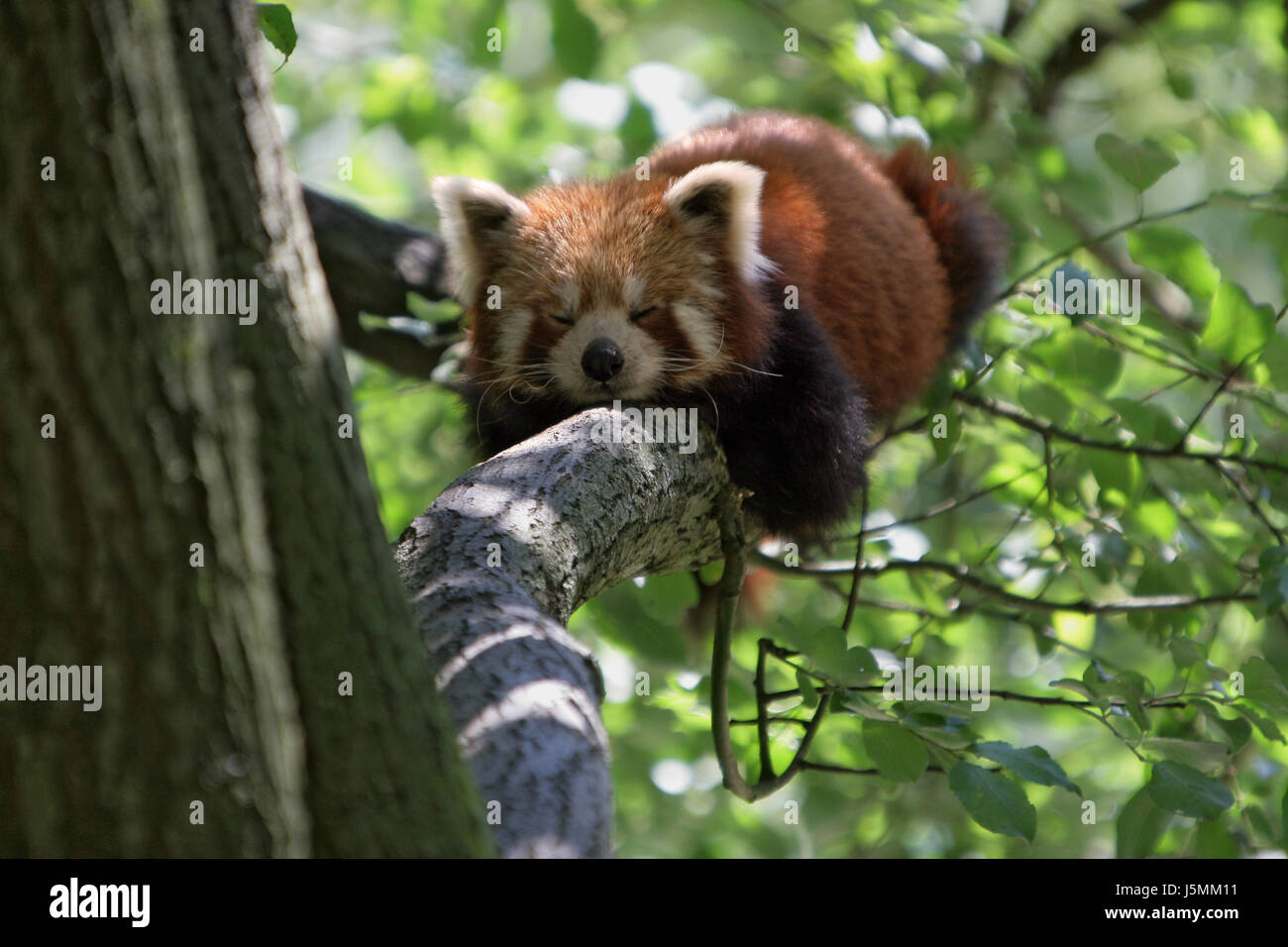 Warte einen Moment Stockfoto