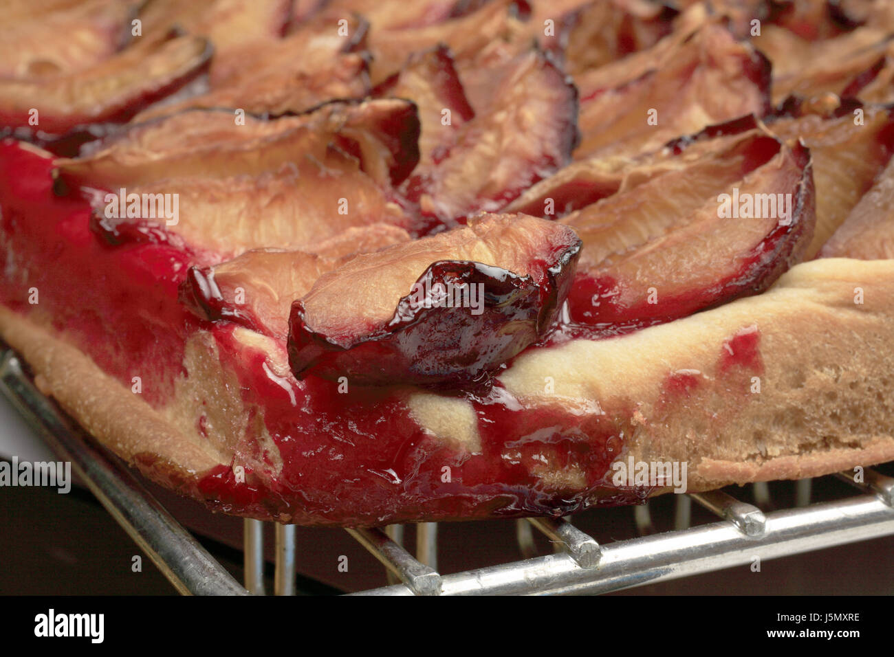 Zwetschgenkuchen Stockfoto