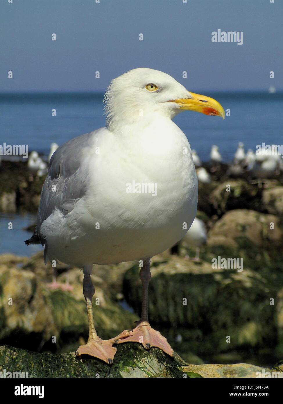 warten... ii Stockfoto