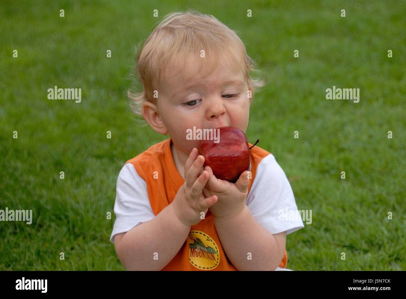 Hand Hand grüne Hunger Gesicht Äpfel Apfel hold jung jüngere Kind essen  Essen Stockfotografie - Alamy