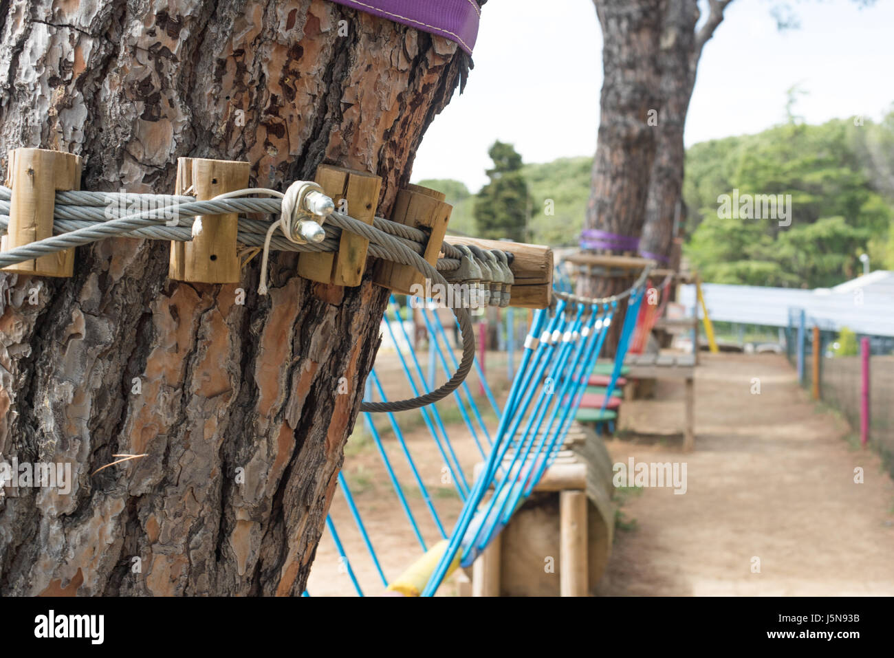 Sicherungsseil Ausrüstung Eisen auf Holzstamm Verankerung Abenteuerspielplatz ausgesetzt Brücke Stockfoto