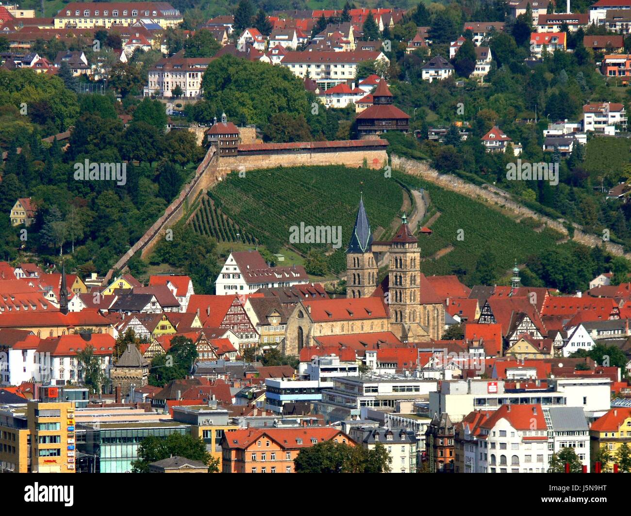 Weinberge Stadtbild Übersicht totale Schloss Burg Mittelalter esslingen Stockfoto