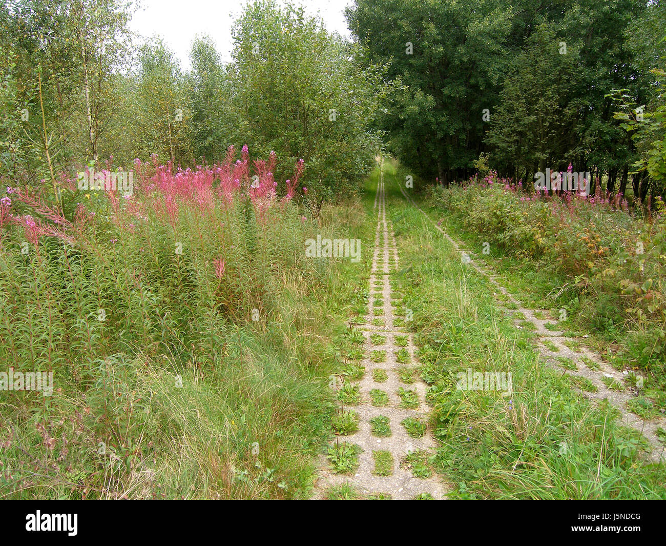 Harzer Grenzweg Stockfotos und bilder Kaufen Alamy