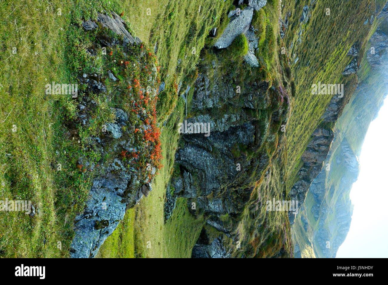 Spritzen der Farbe Stockfoto