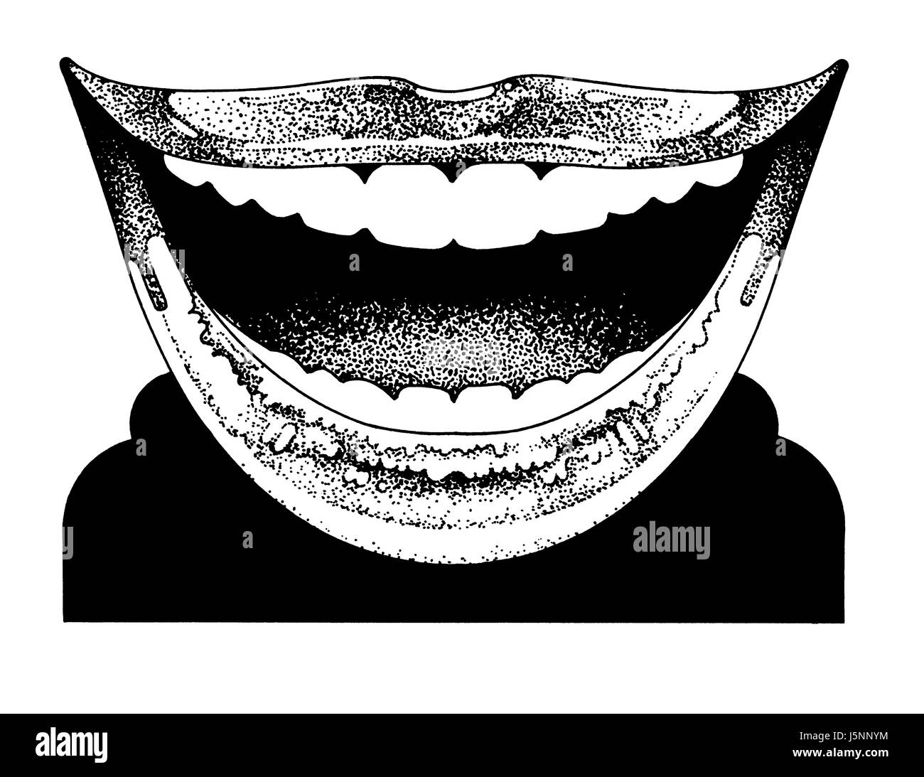 Toothy Lächeln Stockfoto