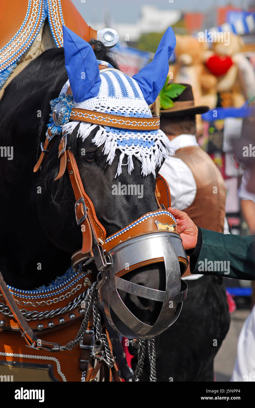 bukolische Pferd Pferde Volksfest Bayern München traditionell dekoriert blau Stockfoto