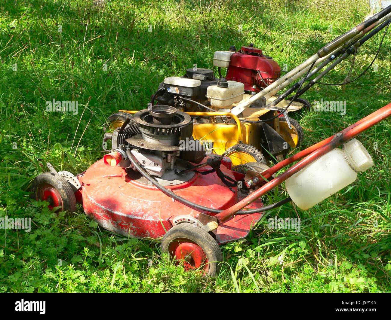 Baum Bäume Garten Rad Tackle Antrieb motor grüne Räder Motorschlauch Gartenarbeit Stockfoto