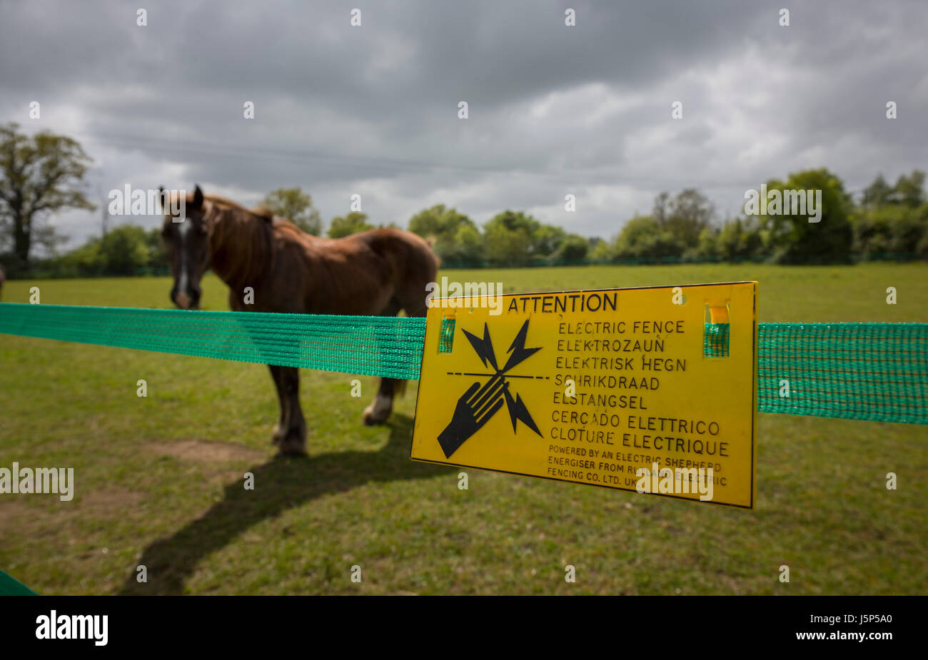 Ein Elektrozaun um ein Feld mit Pferden. Hoxne, Suffolk. Stockfoto