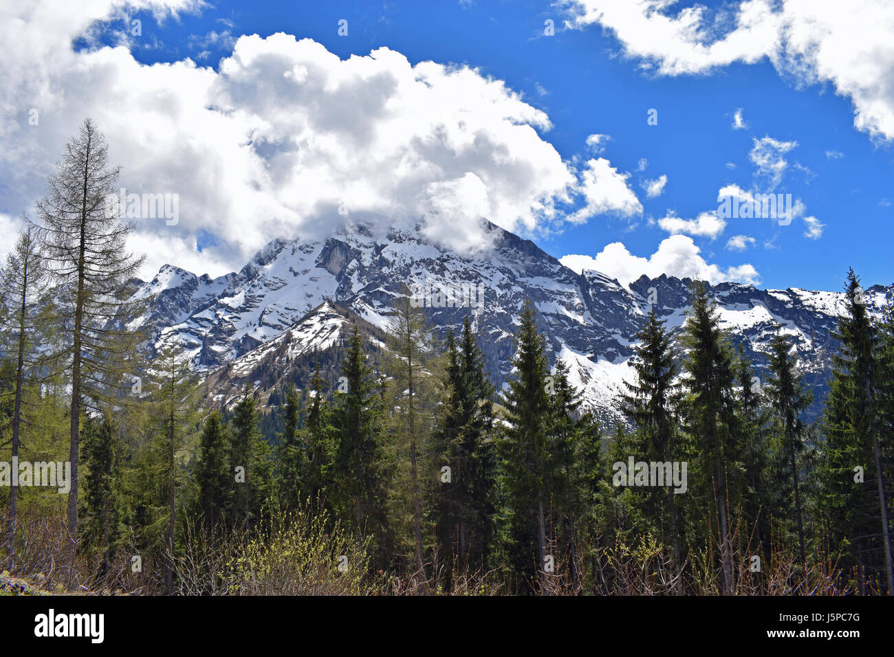 Blick auf die Berge von Rossfeldstrasse Panoramastraße auf deutschen Alpen in der Nähe von Berchtesgaden, Bayern, Deutschland Stockfoto