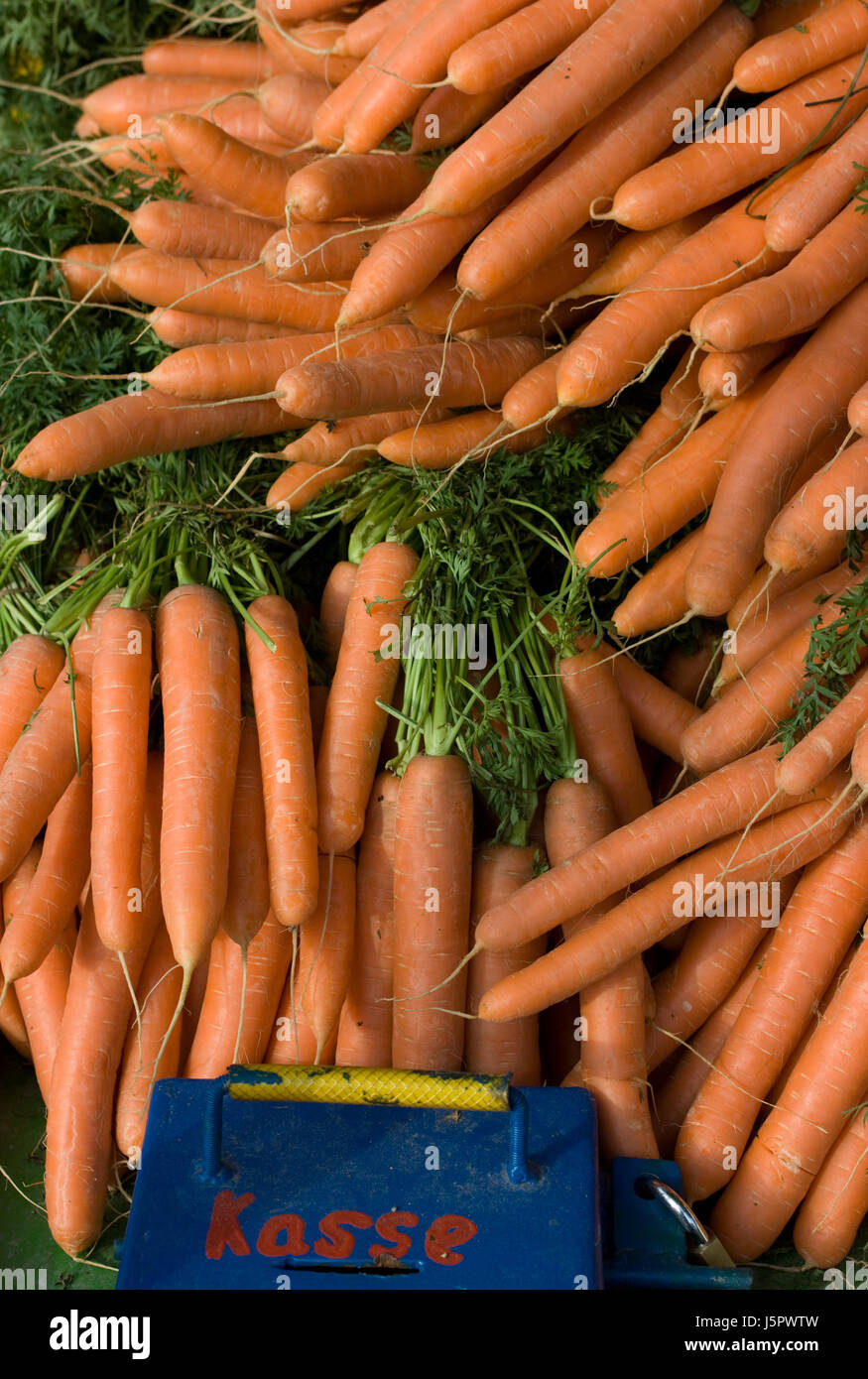Karotten-Kasse Stockfoto