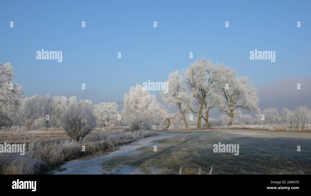 Baum, Bäume, Winter, Eis, Frost, Raureif, Schnee, Landschaft, Landschaft, Natur, leinetal Stockfoto