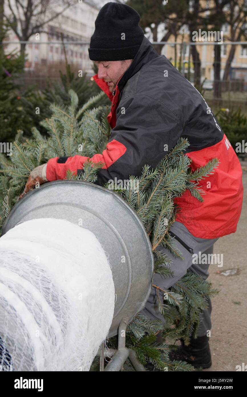Weihnachtsbaum-Verkauf Stockfoto