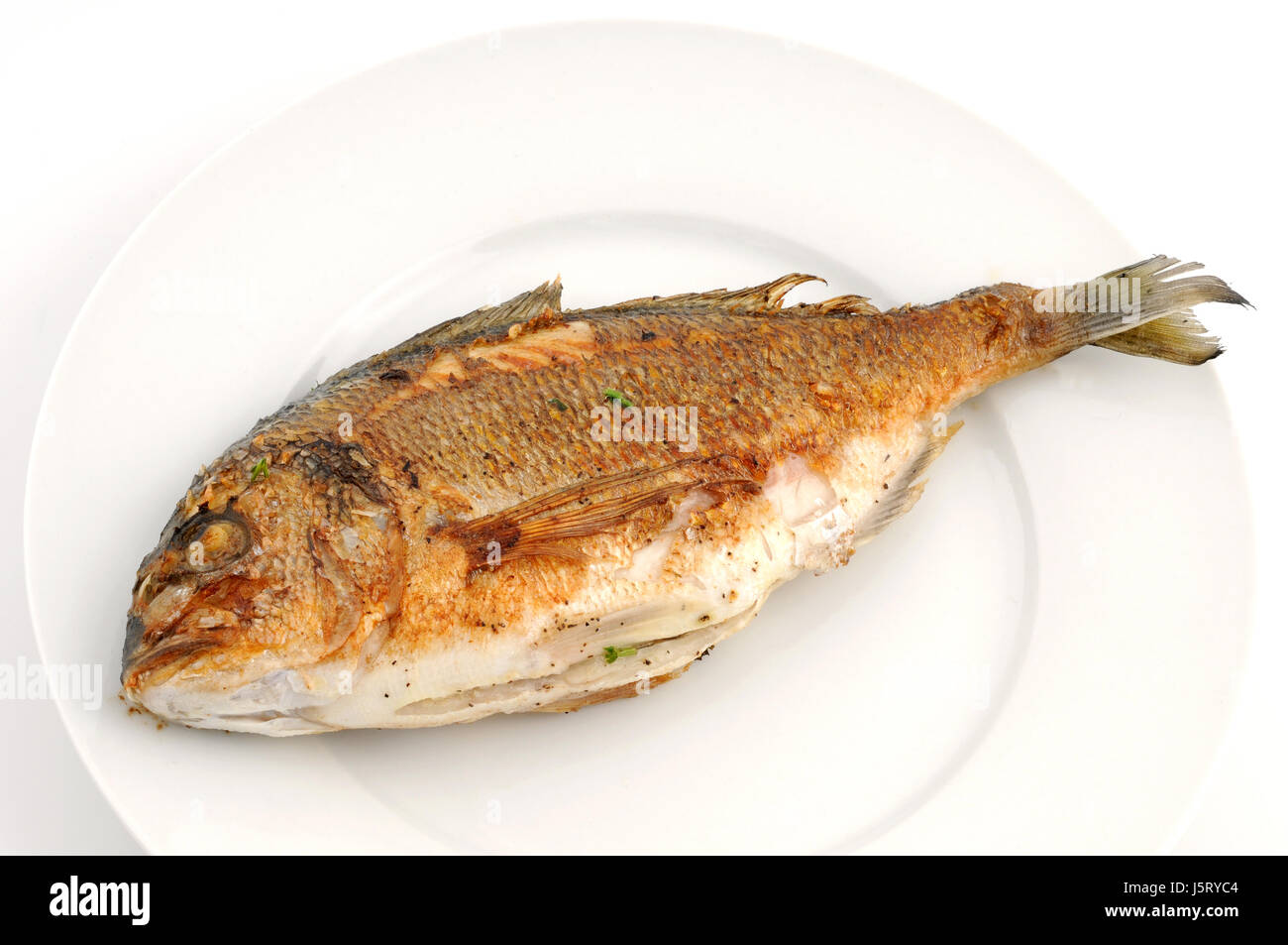 Aliment Speisefische liegen liegend Lügen Winkelplatte Angeln Gericht essen Fisch-Verkauf Stockfoto