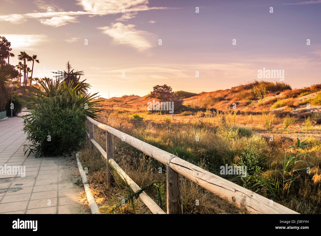 Das Naturschutzgebiet in Elviria, Marbella, Spanien. Stockfoto