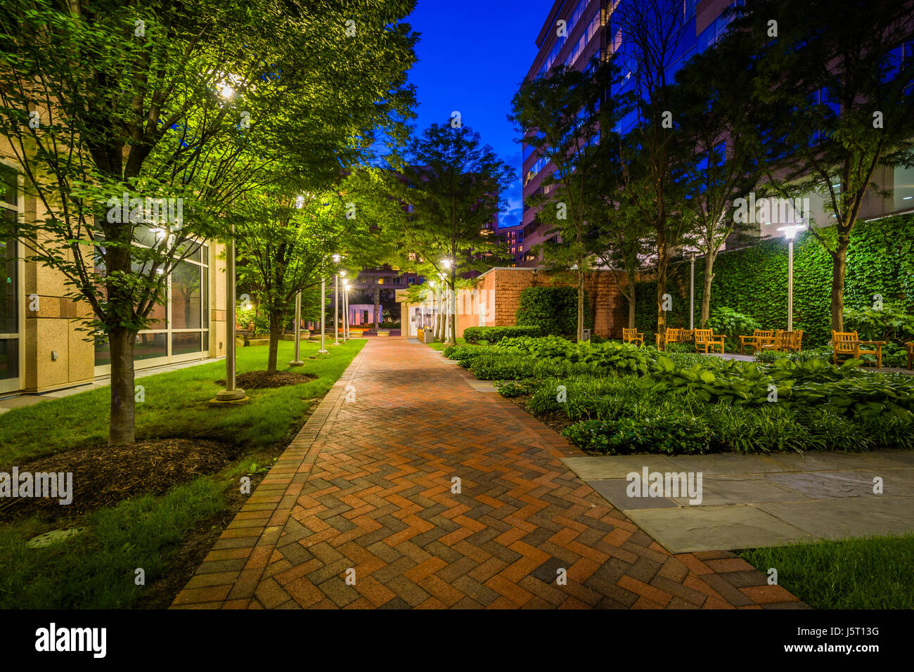 Gehweg und Park in der Nacht, in Bethesda, Maryland. Stockfoto