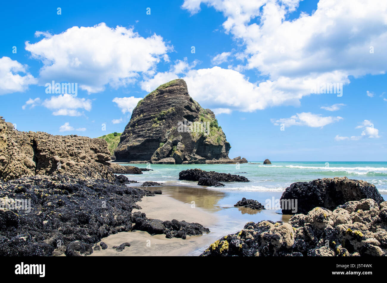 Piha Beach befindet sich an der Westküste in Auckland, Neuseeland. Stockfoto