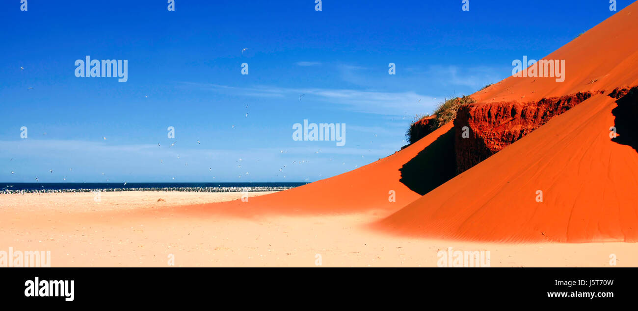 Australien Trockenheit Kontrast Düne Dene Verschiebung Sanddüne Sand Sand Vogel Himmel Stockfoto