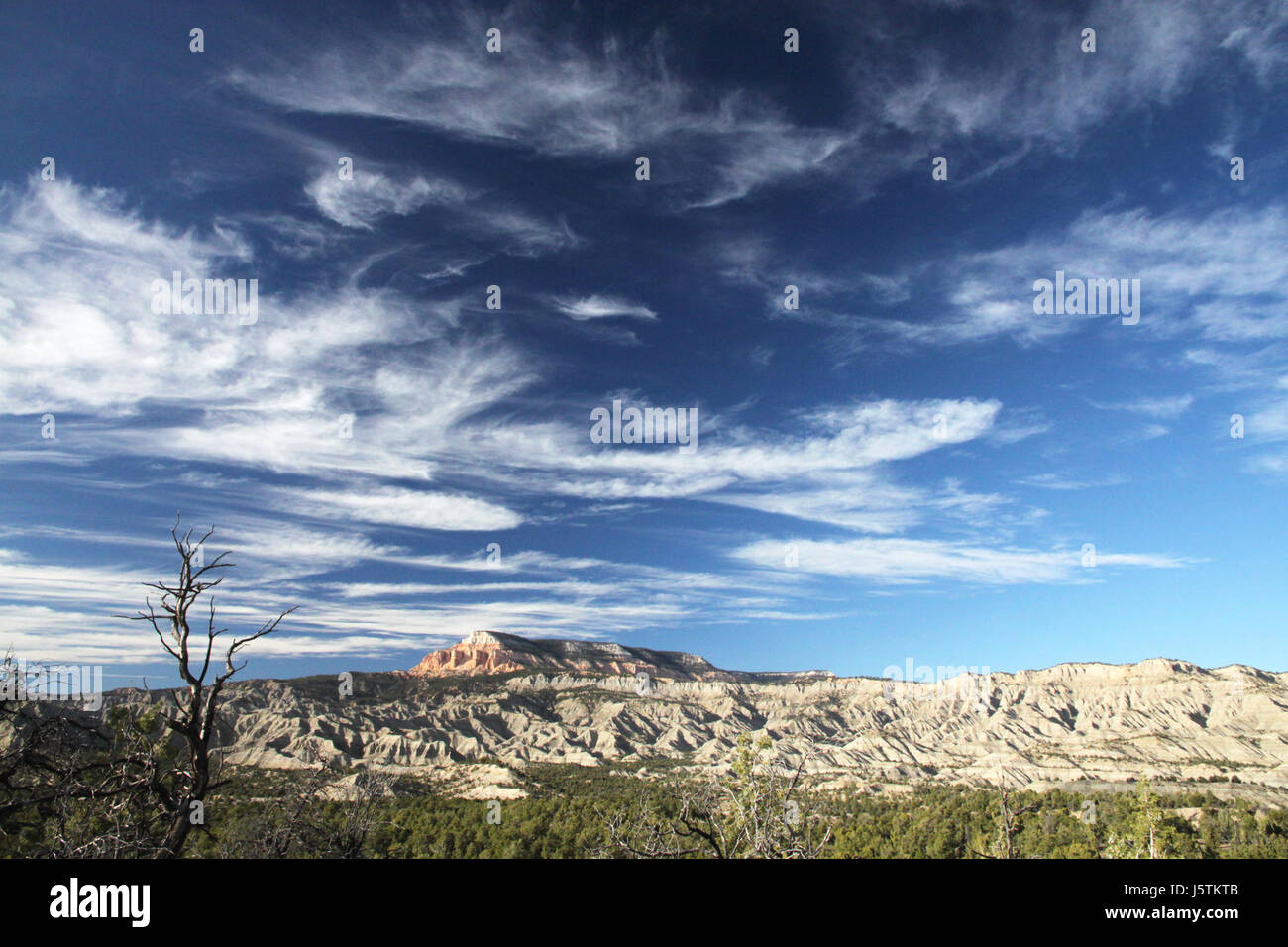 Das Foto des Table Cliffs Plateau erfasst das zerklüftete Gelände eines Plateaus und zeigt seine dramatischen Klippen und seine natürliche Schönheit, wobei die geologischen Besonderheiten und der Umweltkontext hervorgehoben werden. Stockfoto