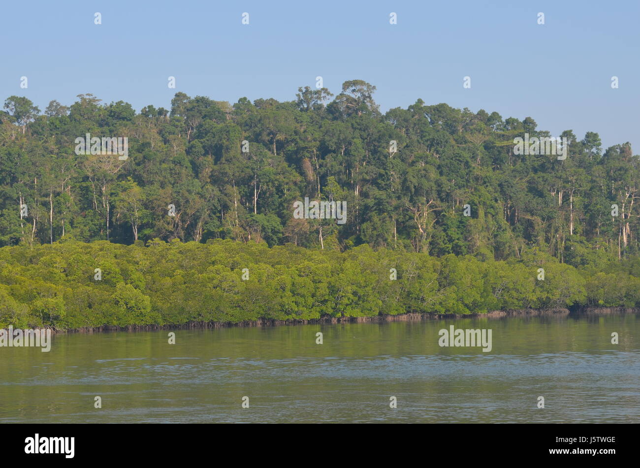 Küstenlandschaft, tropischen Regenwald entlang der Küste Andamanen, Andaman und Nicobar Inseln, Union Territory of India Stockfoto