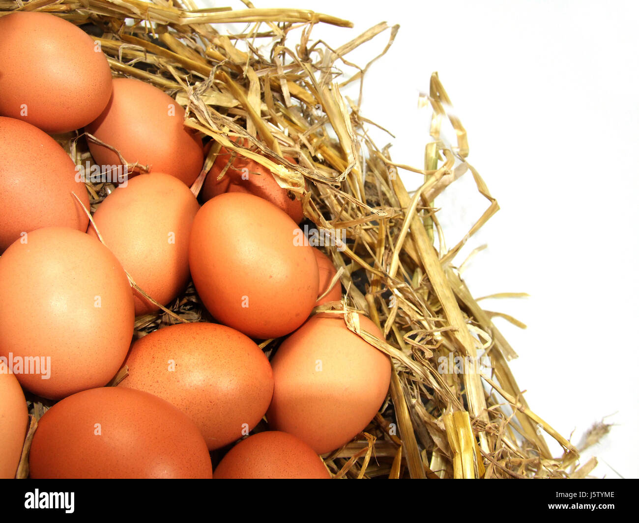 Nest, Ei, Eiern, Kupplung, Nest, Stroh, Hhnereier, Hhnernest, Braune eier Stockfoto