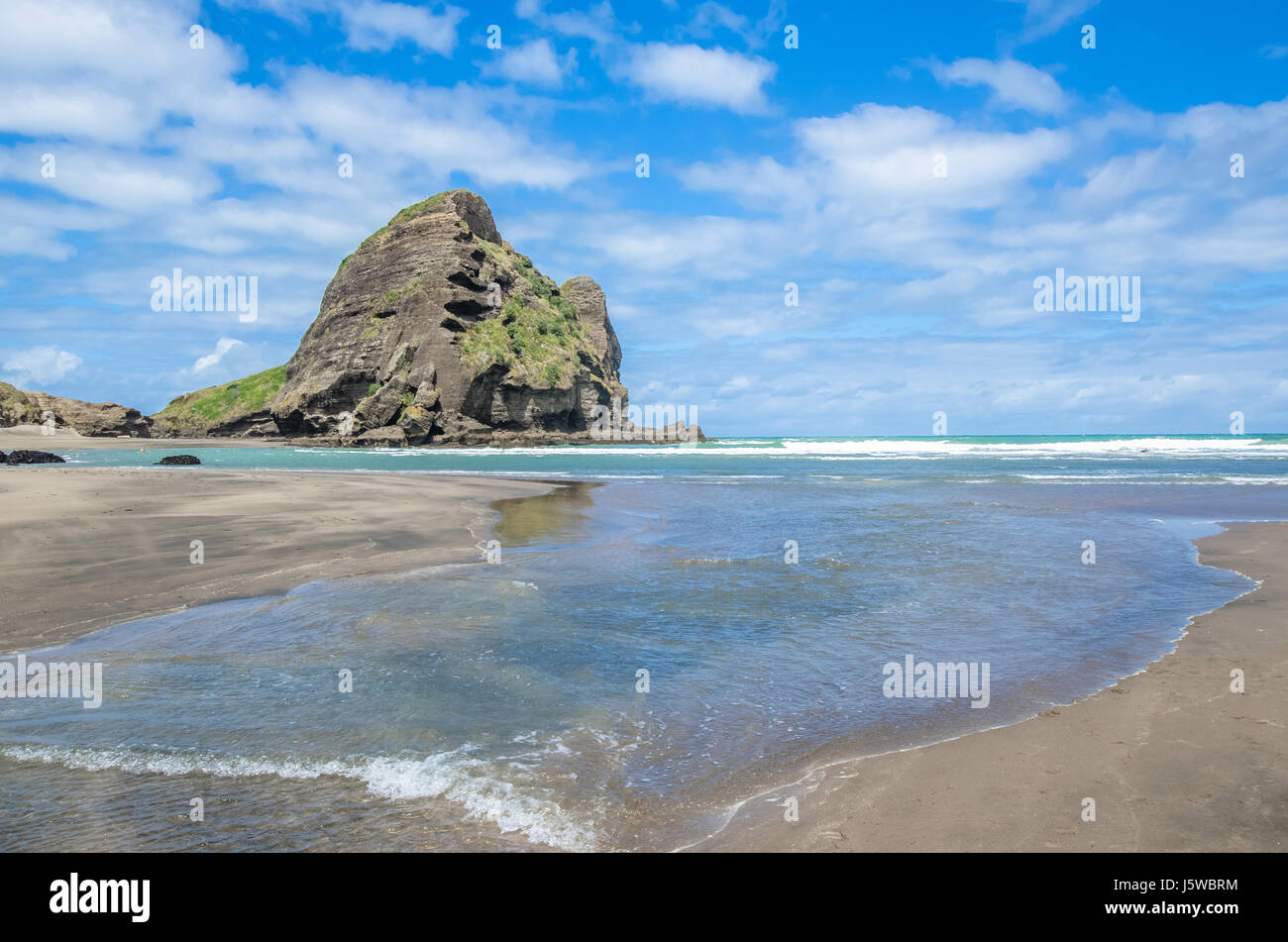 Piha Beach befindet sich an der Westküste in Auckland, Neuseeland. Stockfoto