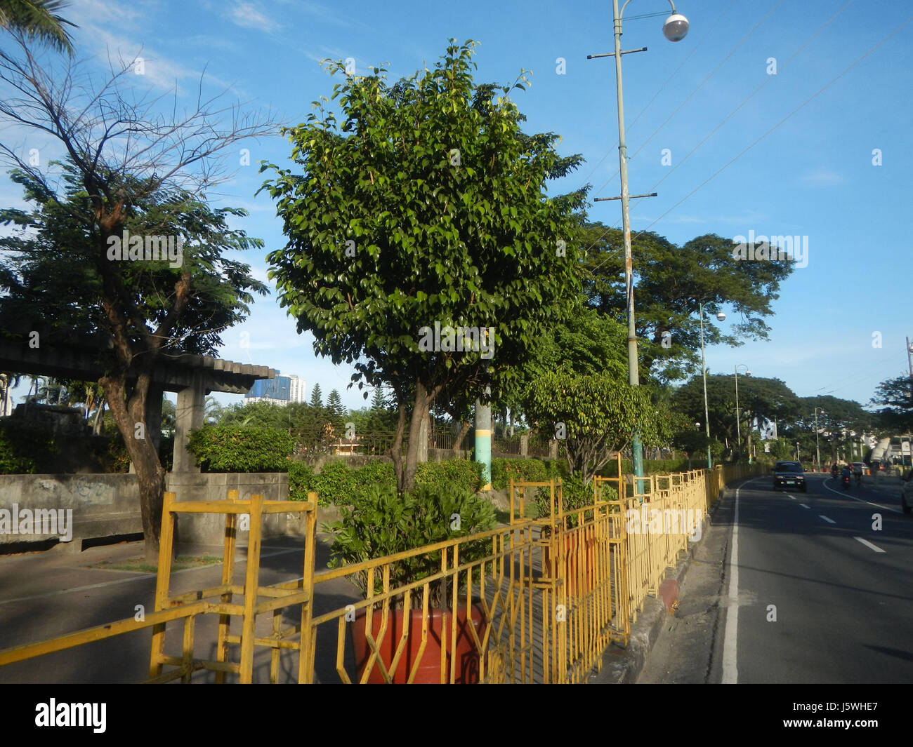 03633 alte Bäume Stege Makati Park Garten West Rembo, Makati City 01 Stockfoto 03633 alte Bäume Stege Makati Park Garten West Rembo, Makati City 01 Stockfoto