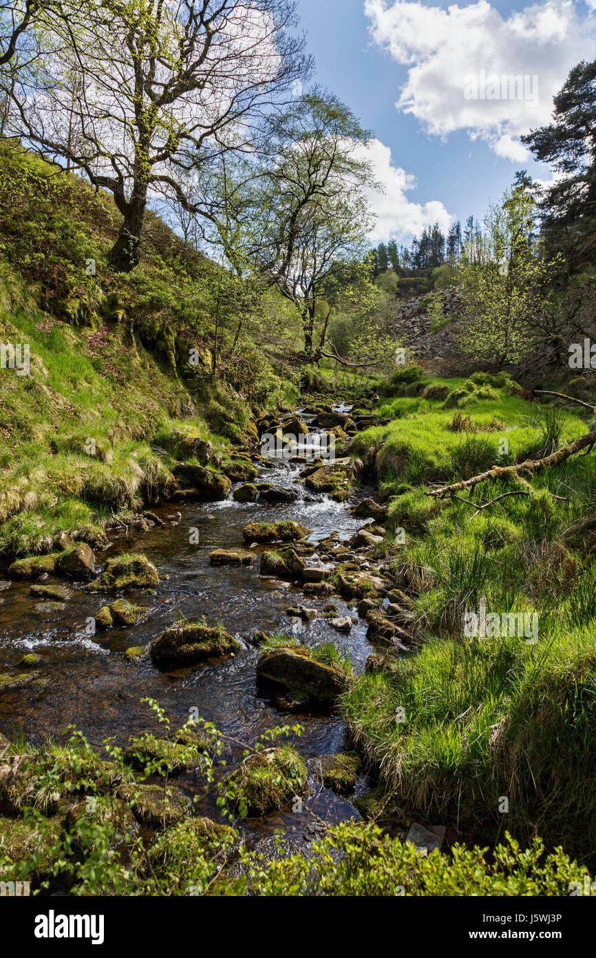 Goyt Tal im Frühjahr, Peak District National Park, Derbyshire Stockfoto
