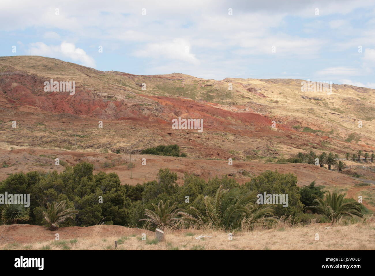 Rock Trockenheit Palmen Oase rötlich trocken ausgetrocknet unwirtlich kargen madeira Stockfoto