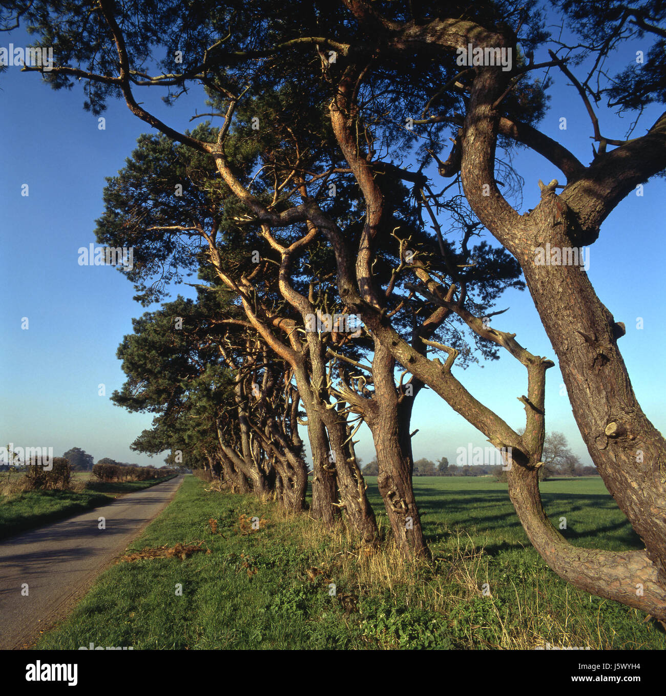 Reisen Sie Anblick Ansicht Outlook Perspektive Vista Panorama Suche leere Landschaft Stockfoto