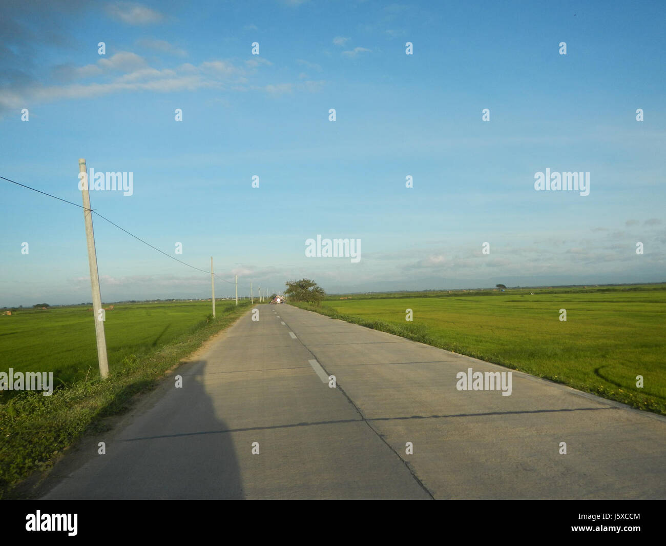 05438 Paddy Felder Salapungan Straßen Magumbali an Pampanga 05 Stockfoto