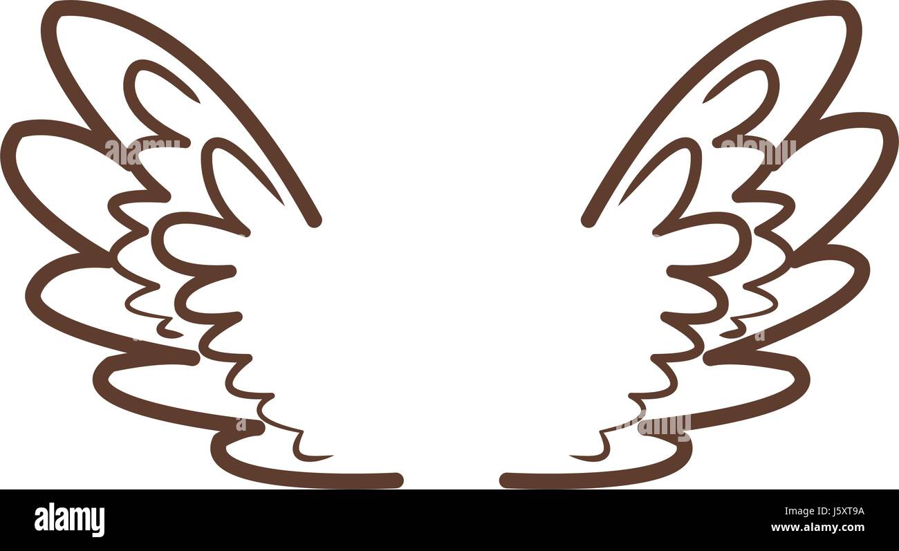 Flugel Federn Engel Vogel Freiheit Symbol Stock Vektorgrafik Alamy