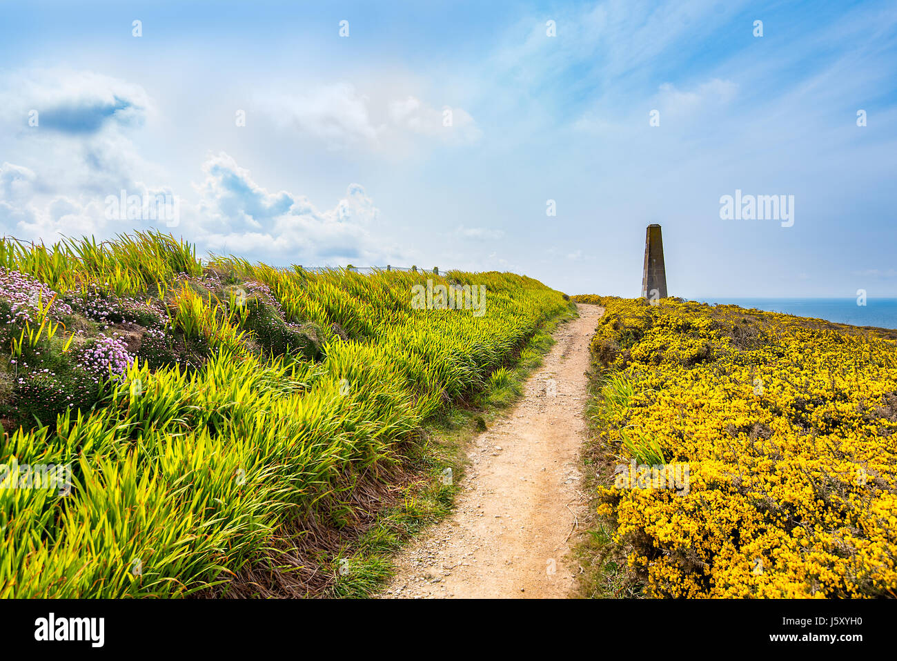 Der South West Coastal Fußweg südlich von Porthtowan, Cornwall, UK. Stockfoto