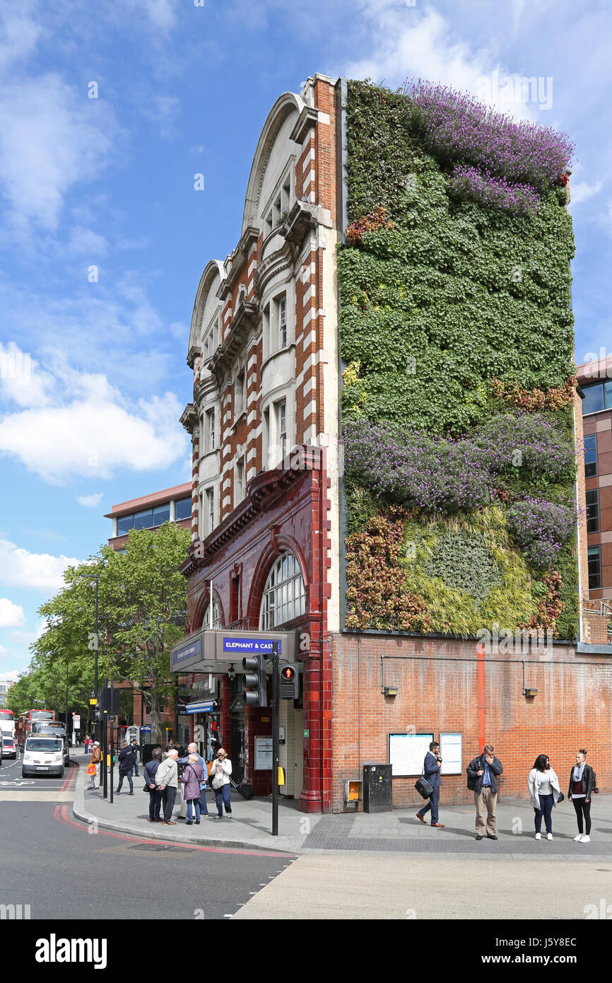 Eingang zur u-Bahnstation im Londoner Elephant and Castle. Zeigt die neue lebendige Mauer an der Seite das alte viktorianische Bahnhofsgebäude Stockfoto