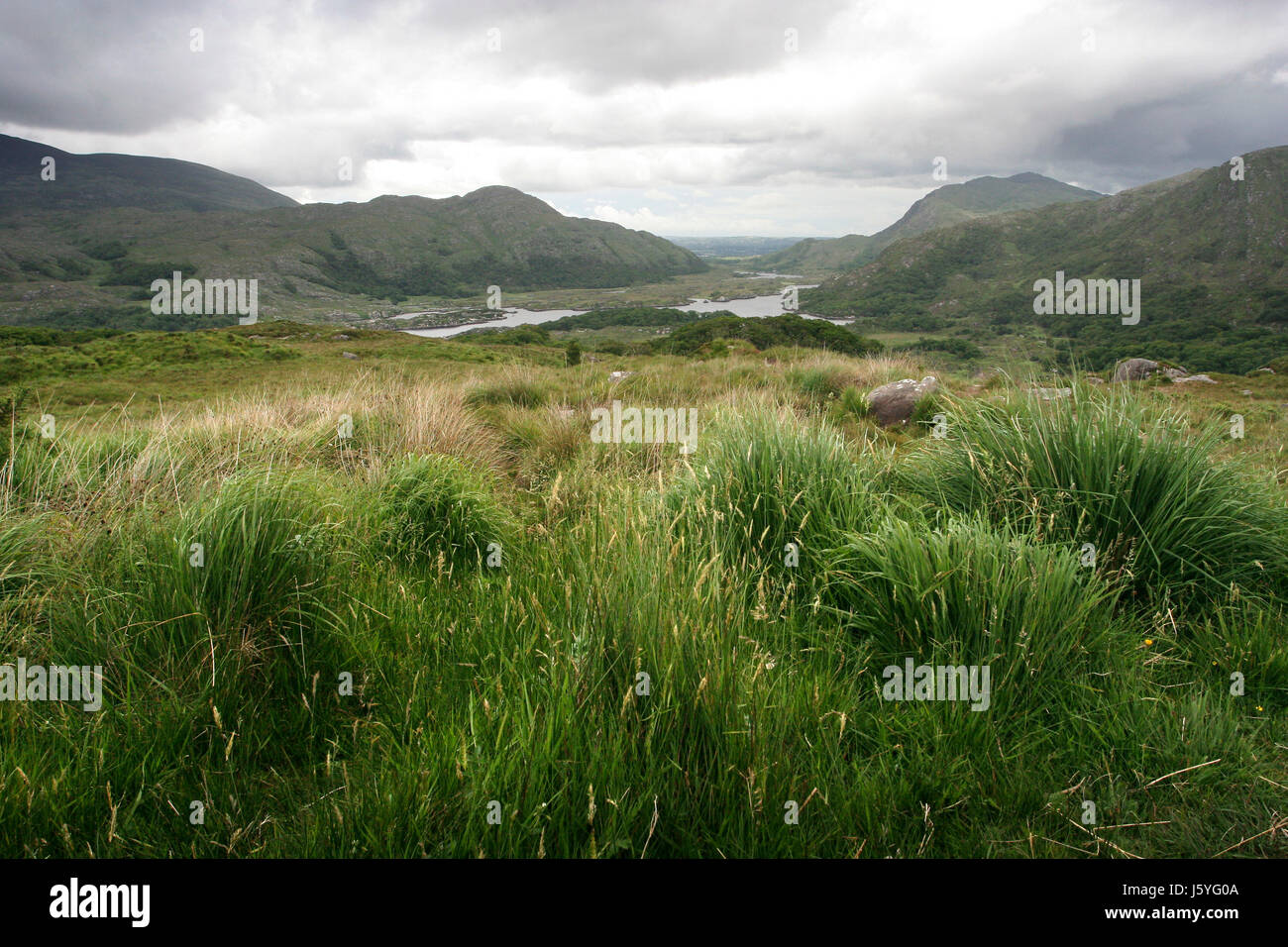 Anblick Ansicht Outlook Perspektive Vista Panorama Aussichtspunkt Irland Wiese Rasen Stockfoto