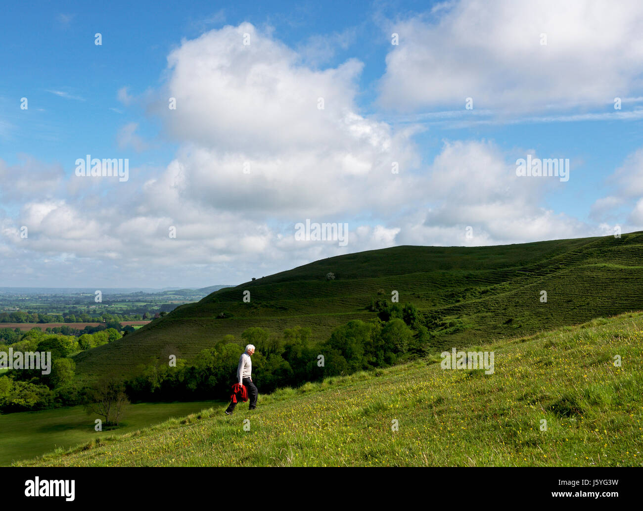 Hambledon Hill, eine prähistorische Hill fort in Dorset, England, Großbritannien Stockfoto