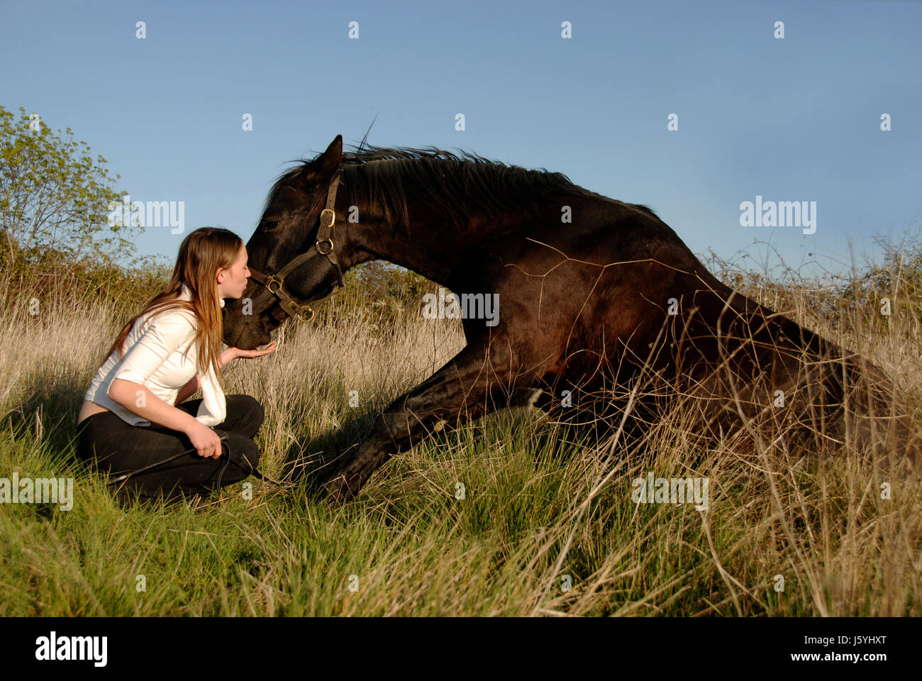 Pferd Hengst Teenager Put sitzen Sit Liebe verliebt verliebte sich in Liebe Frau Stockfoto