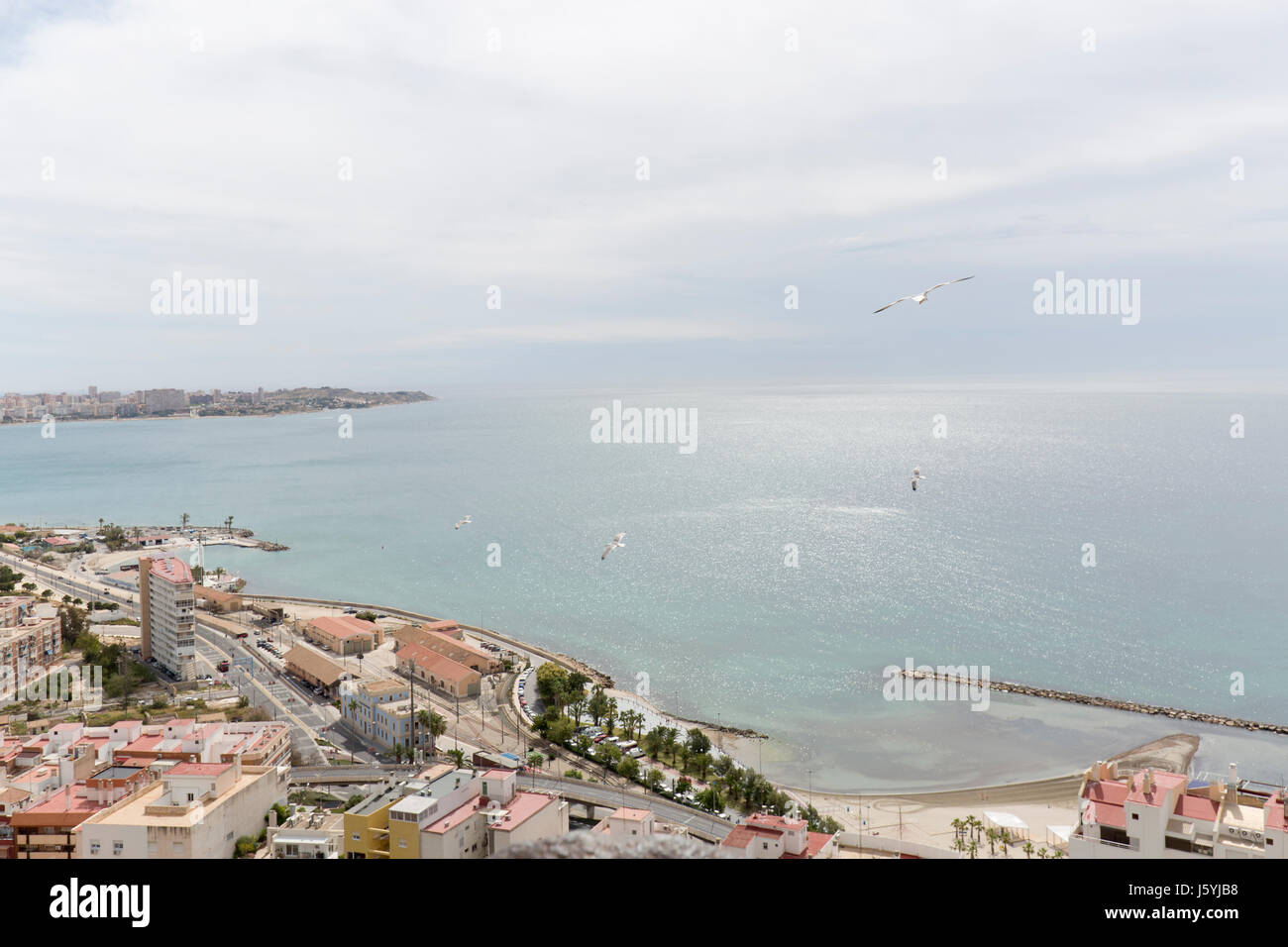 Blick auf die Stadt Alicante in Spanien, das Schloss von Santa Barbara. Stockfoto