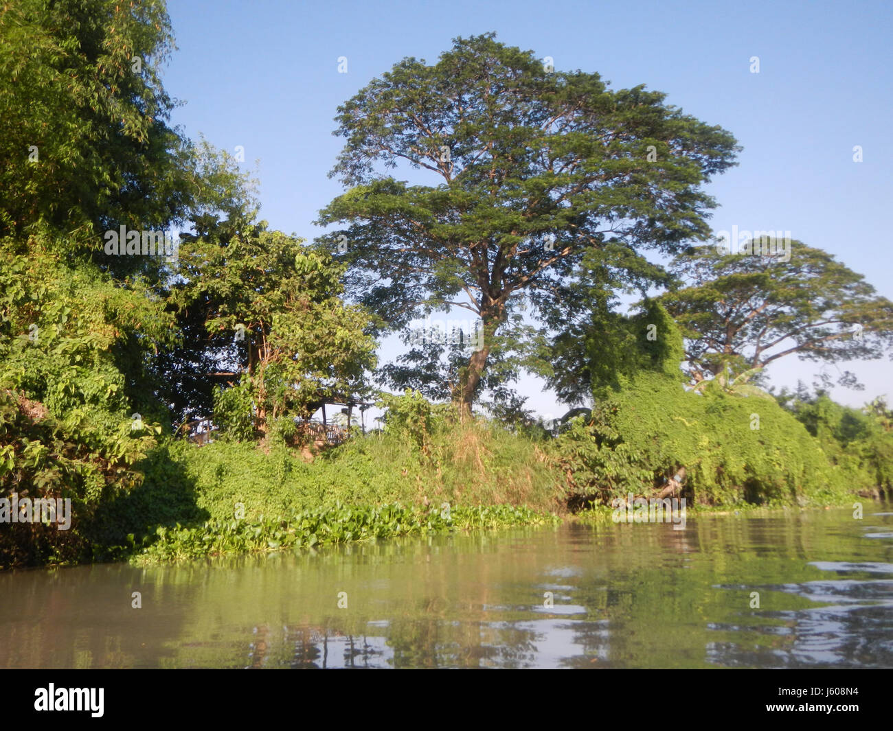 Dieses Bild zeigt die Flussviertel Calumpit, Bulacan und Apalit, Pampanga, mit einem klaren blauen Himmel. Die Szene umfasst lokale Dörfer, landwirtschaftliche Flächen und Gewässer, die die Landschaft der regionâ prägen und die ländliche Umgebung und die Umweltmerkmale dieses Teils der Philippinen widerspiegeln. Stockfoto