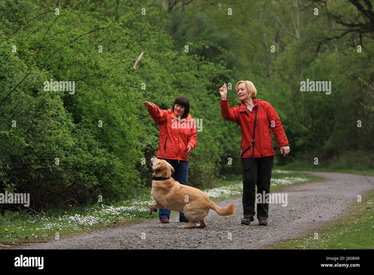 Frau Hund behinderte Jugendliche Jugendliche Frau Spiel Jugendturnier spielen Stockfoto